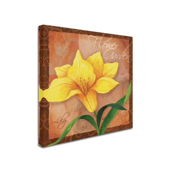 Fiona Stokes-Gilbert 'Lily' Canvas Art,24x24